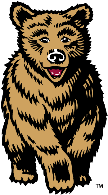 Montana Grizzlies 1996-2009 Mascot Logo t shirts iron on transfers